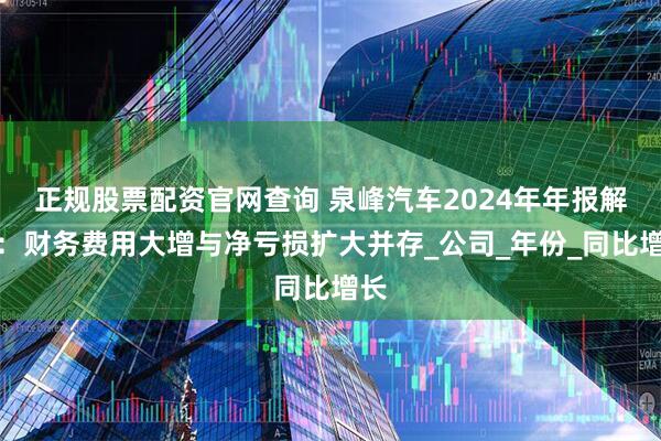 正规股票配资官网查询 泉峰汽车2024年年报解读：财务费用大增与净亏损扩大并存_公司_年份_同比增长